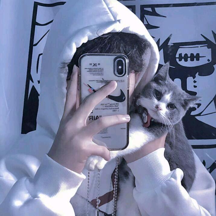 🏸提拉米苏🏸