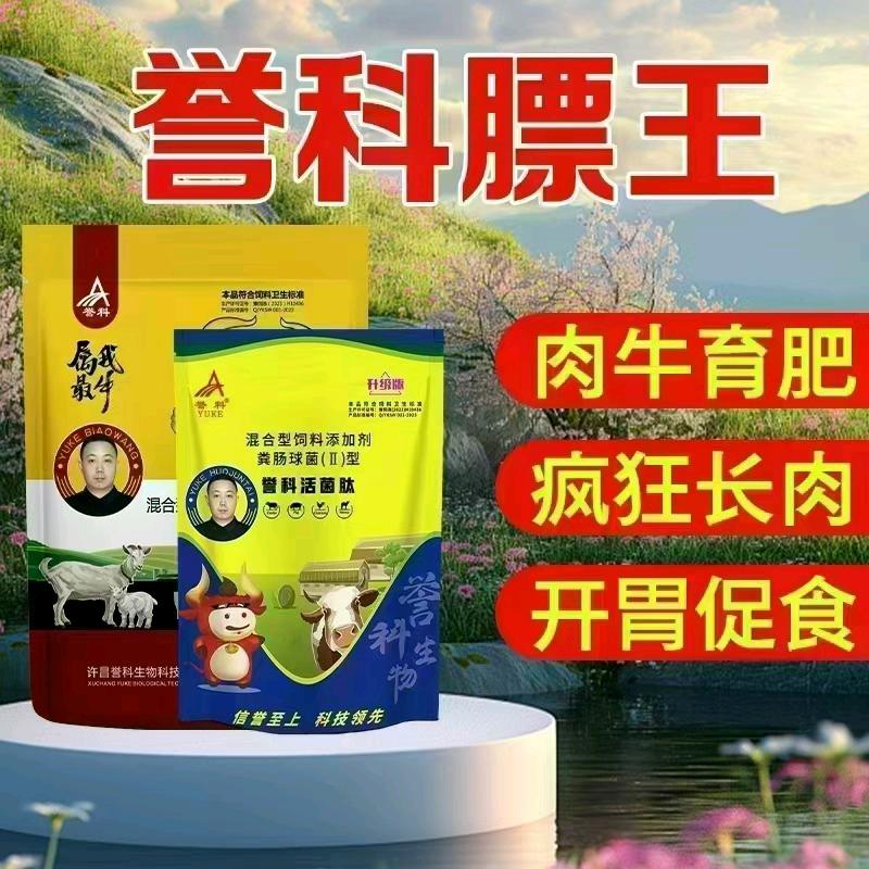 誉科膘王-刘总聊牛羊