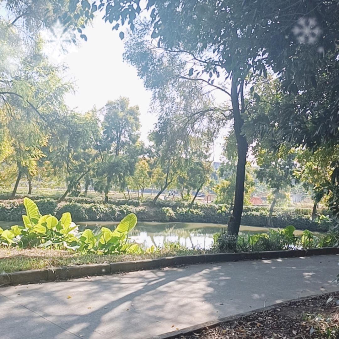 冷风苹果数码id