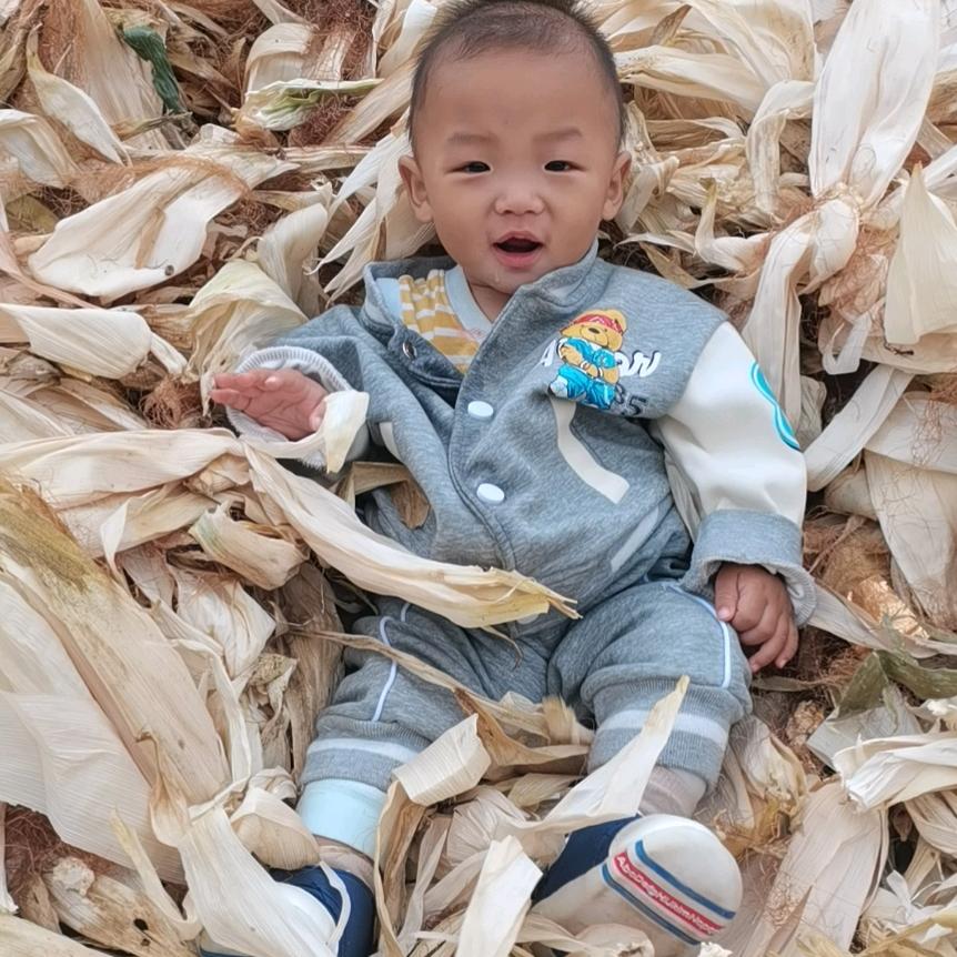 玉米哥 玉米专业户