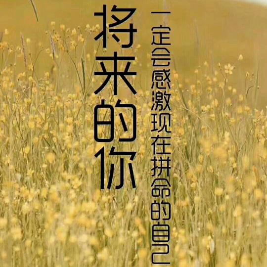 刘明朗剪辑(飞飞)