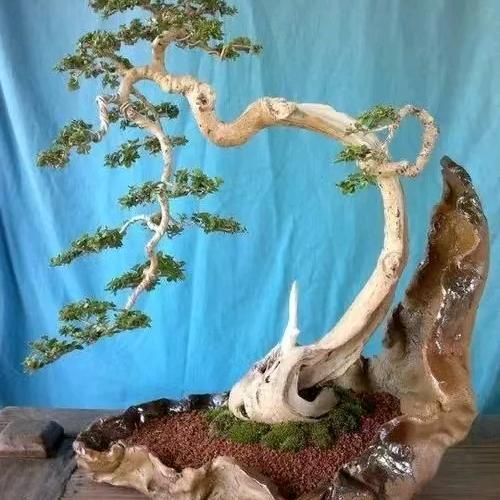 宁静致远