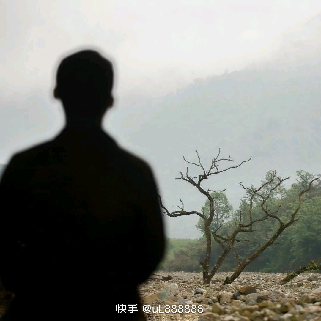 🍺酱豆