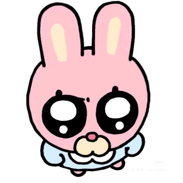 比格多兔