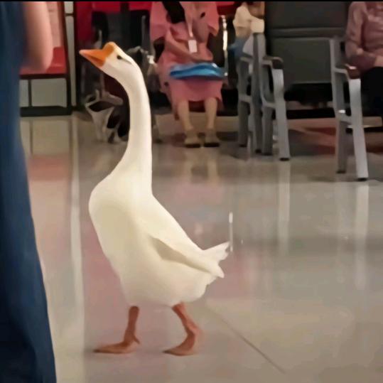 笑对人生