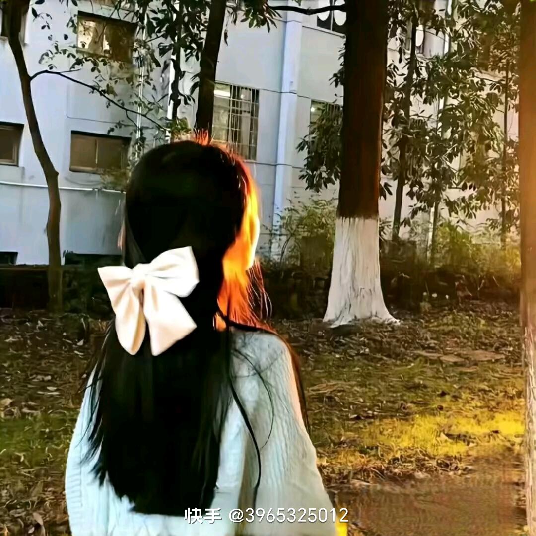 小菊