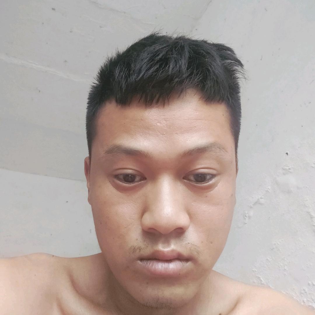 退林还耕  出租木材破碎机木材削片机