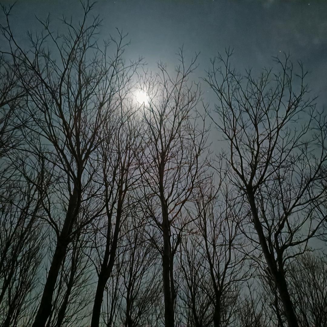 贲槟汇为什直播号