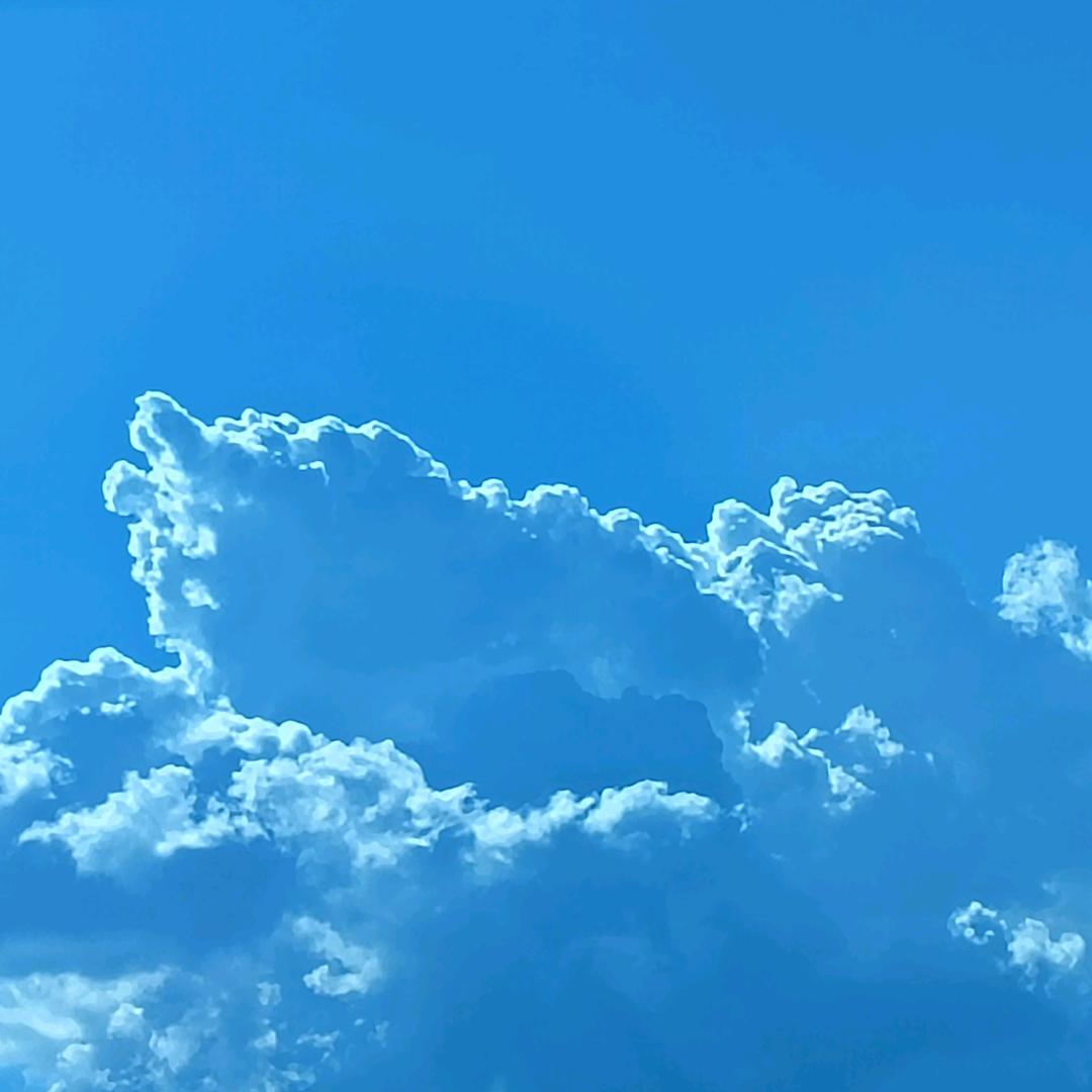 🐮被抛在半路男人🐮