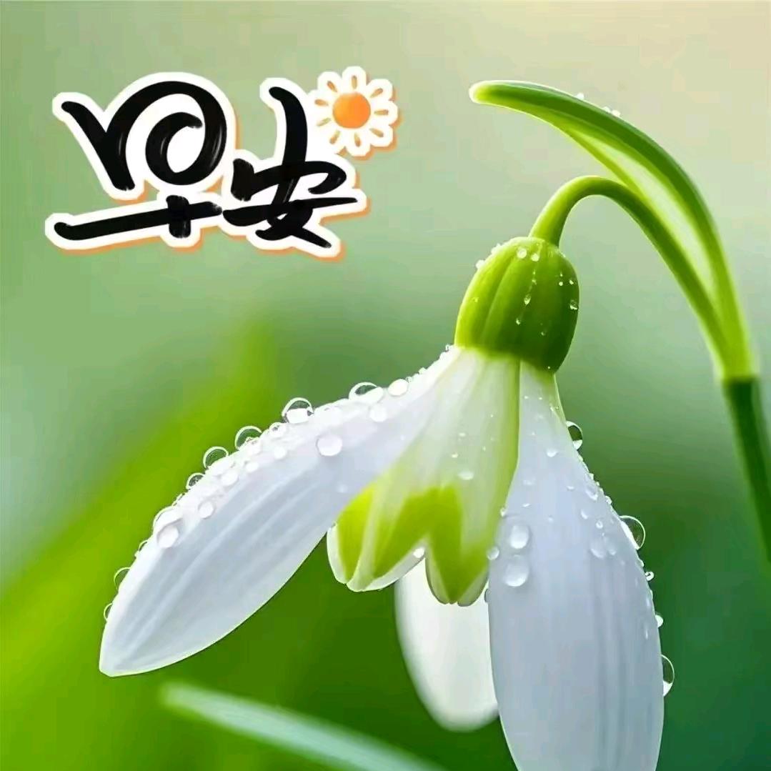 聆听者