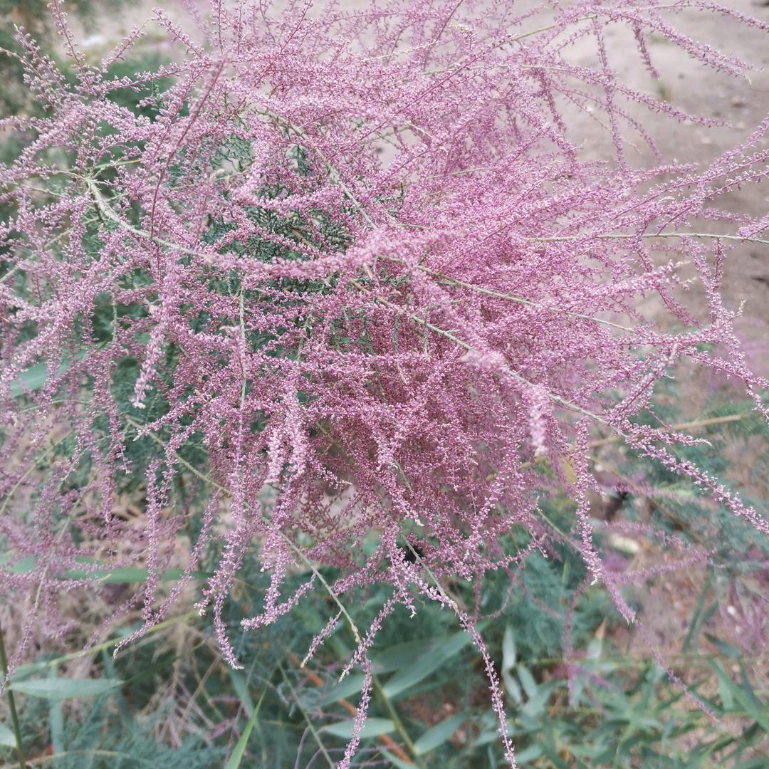 零八七七