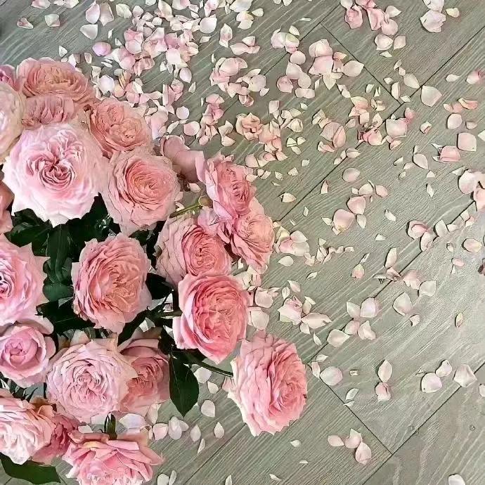 正能量（守护健康）