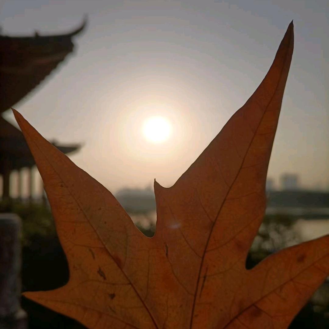 小璃没烦恼