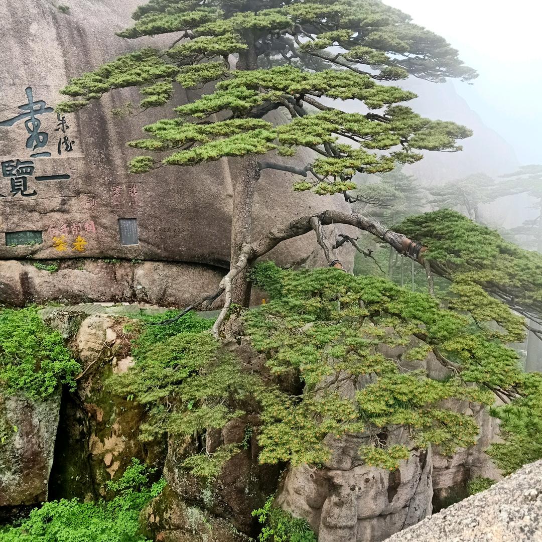 晓伟