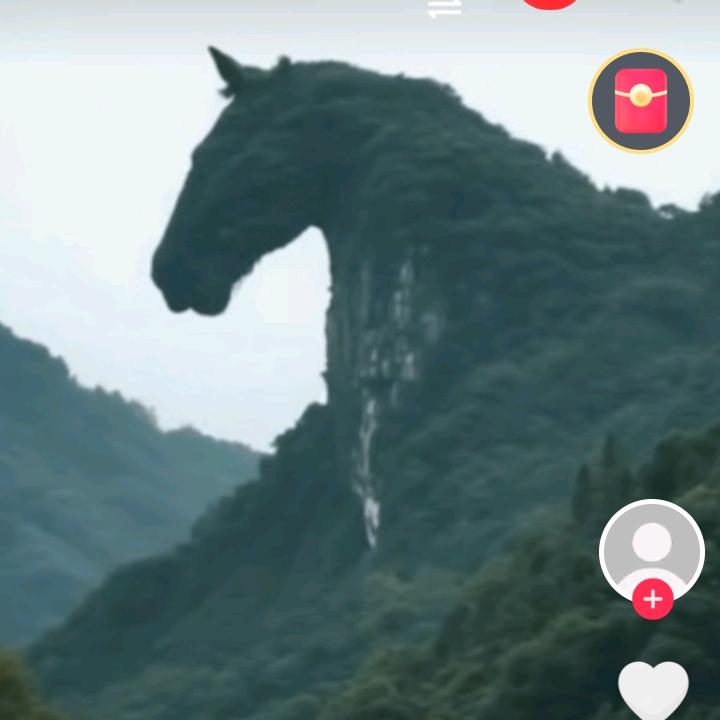 没人了解我