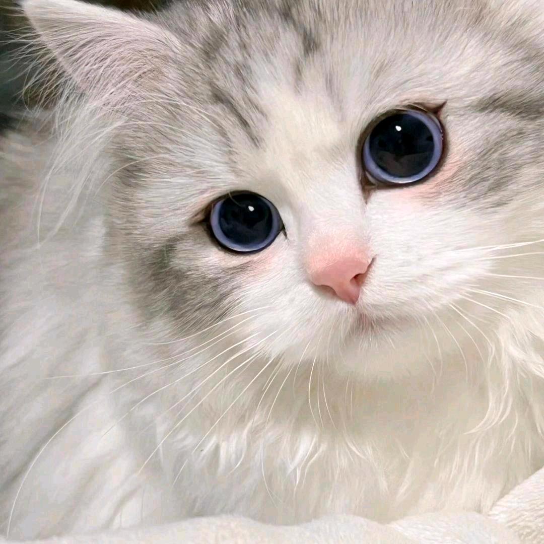 禾呈ㅤ