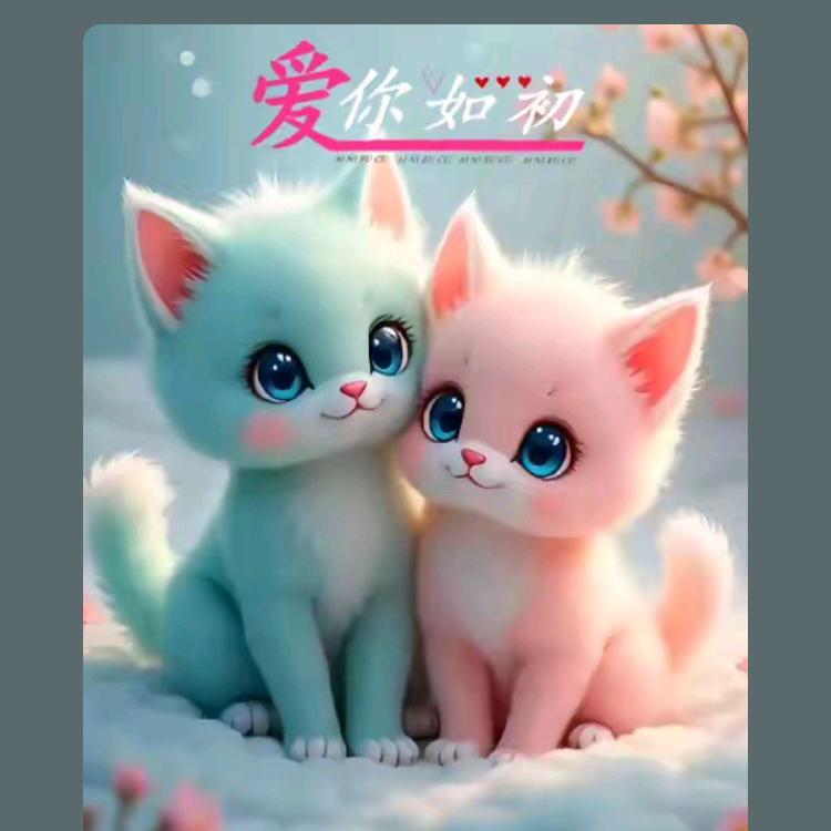 北科泰源鑫