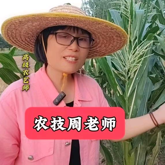 金悦农资（农技周老师）