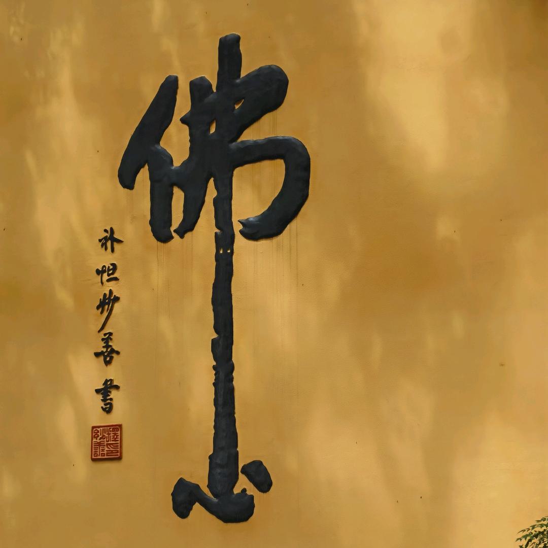 认真生活