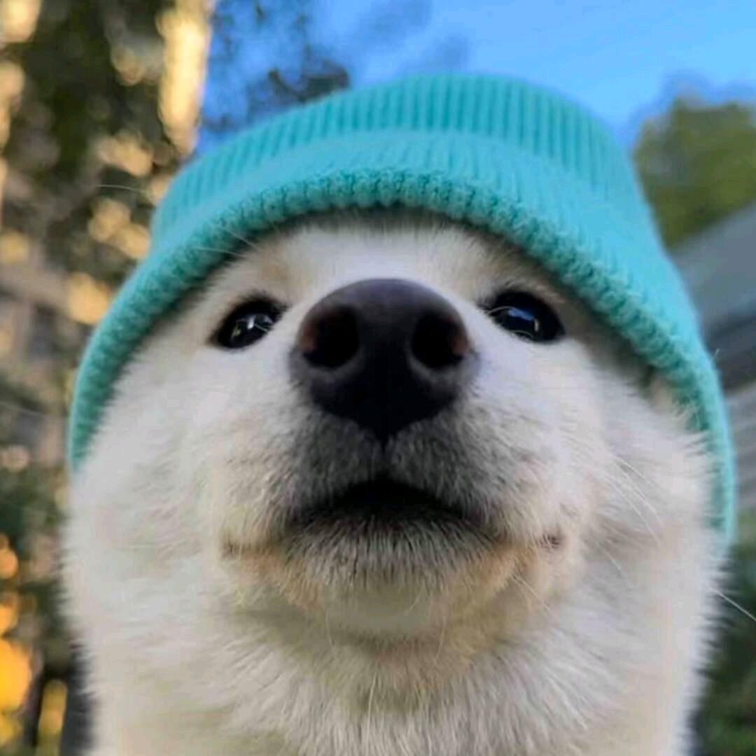 @阿青