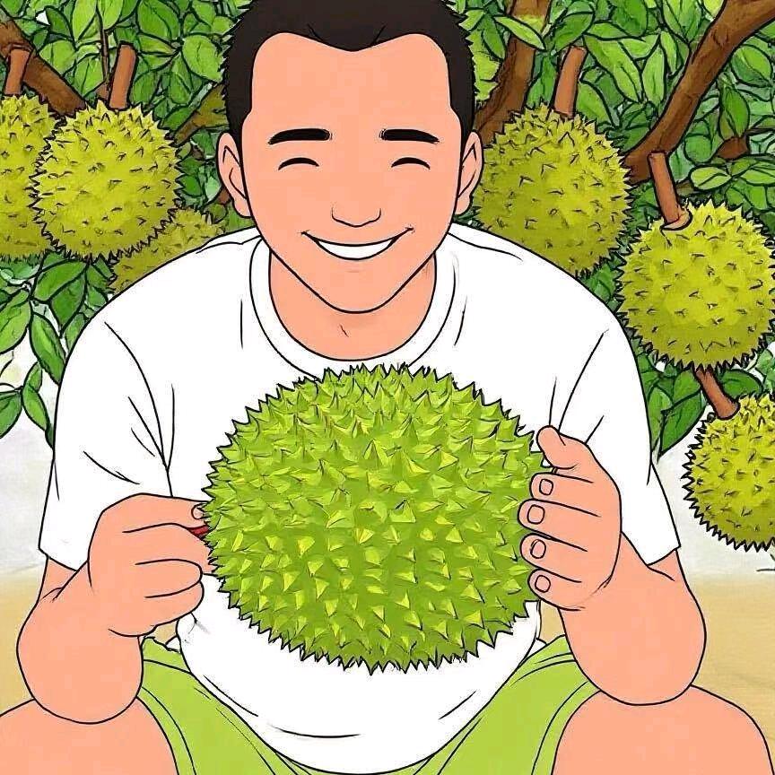 越南榴莲菠萝蜜-小周
