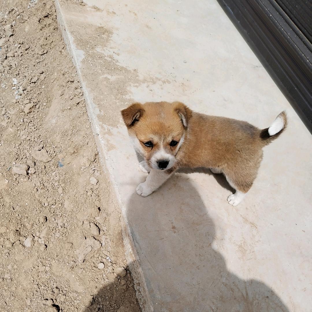 夏天好