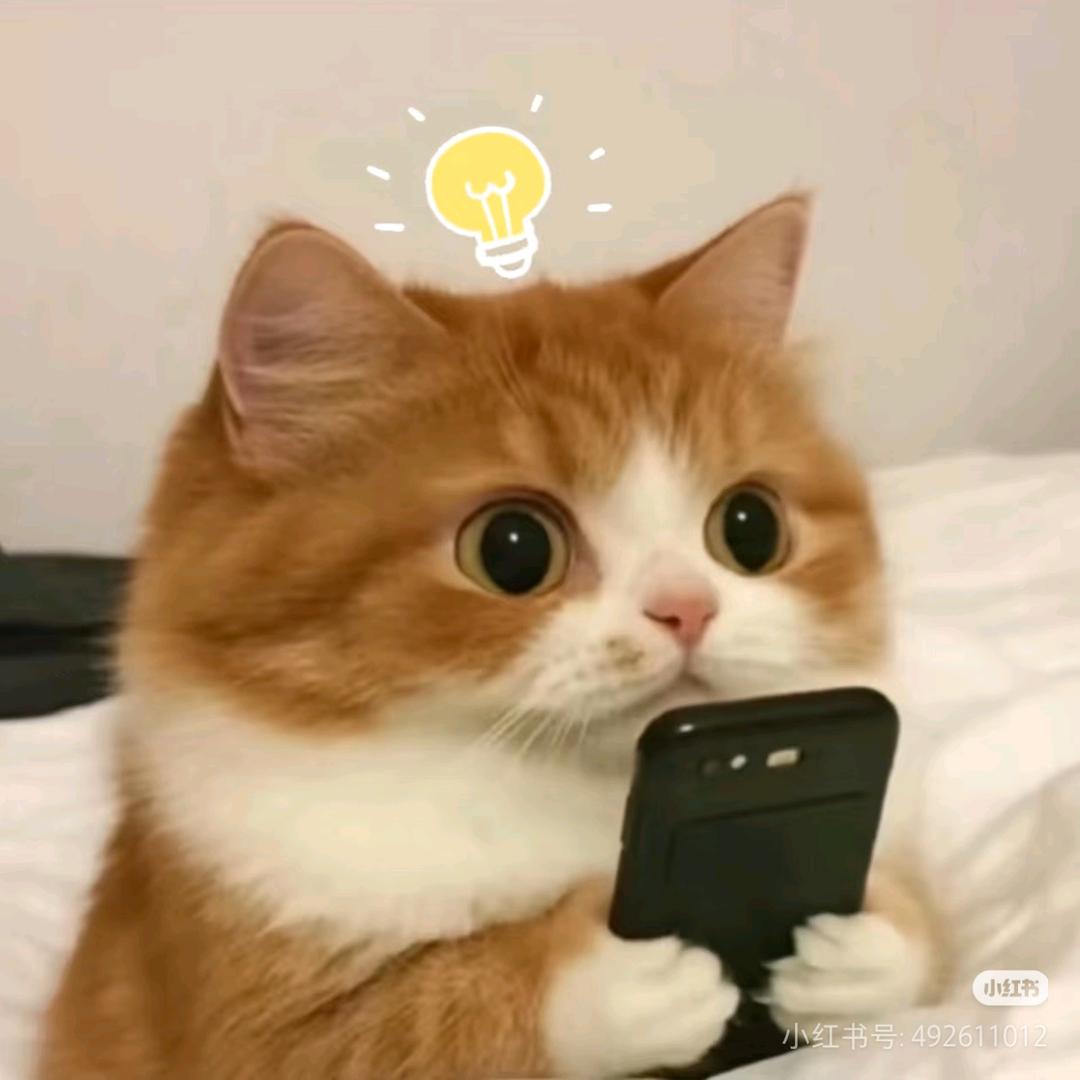 再见莫妮卡☃❄️