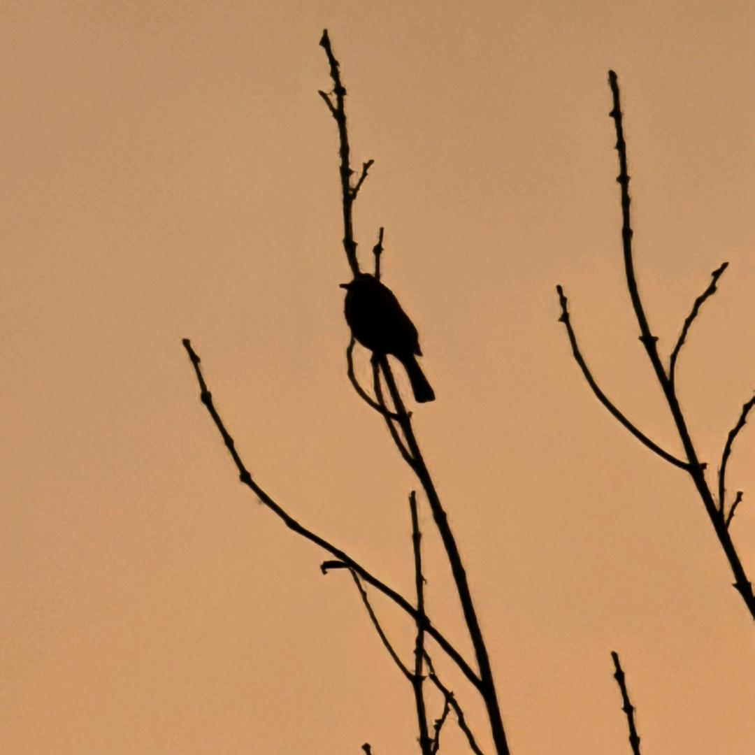 加油努力戒奶茶