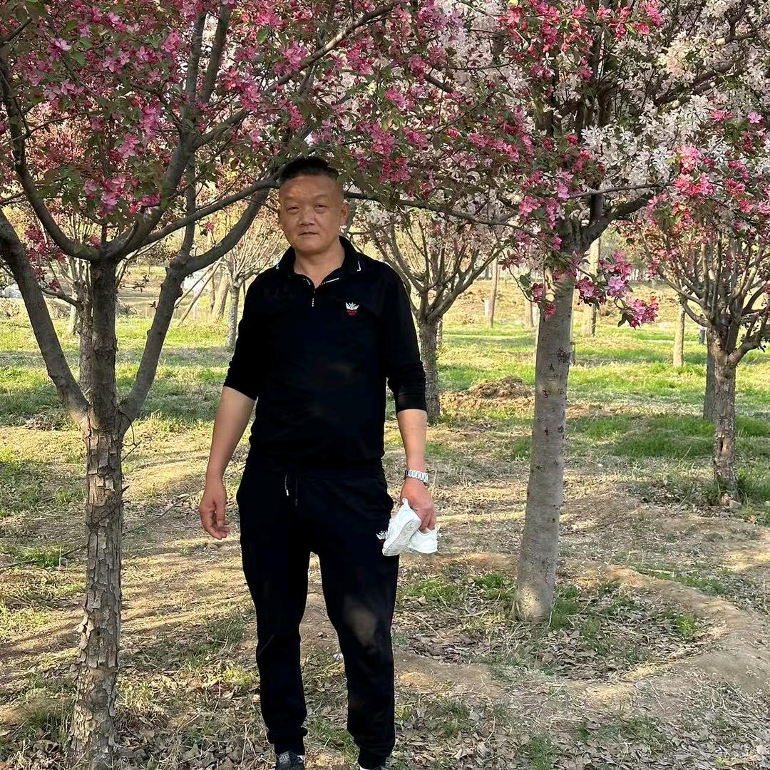 一匹孤独的狼