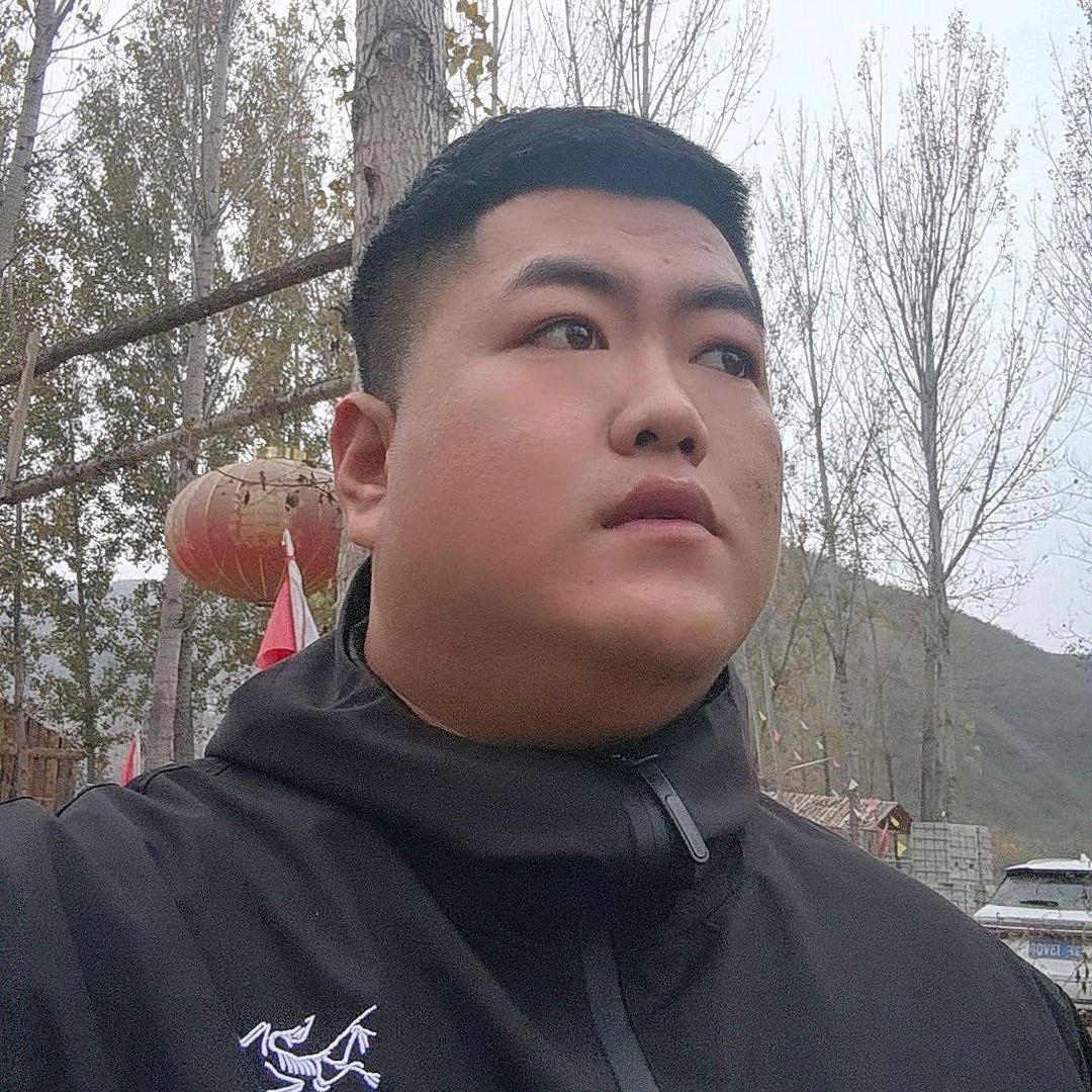 大龙