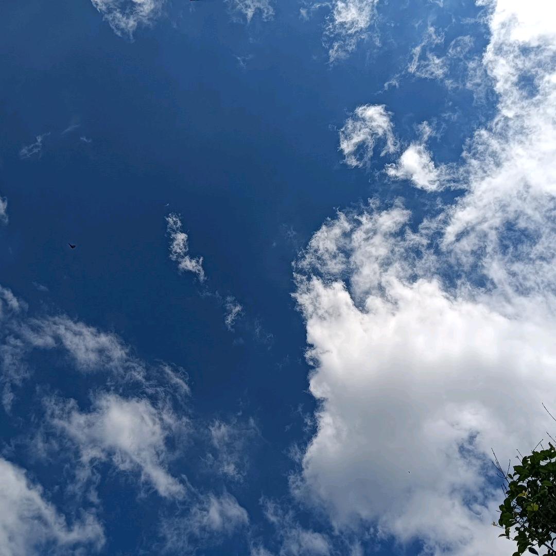 溪竹听月居