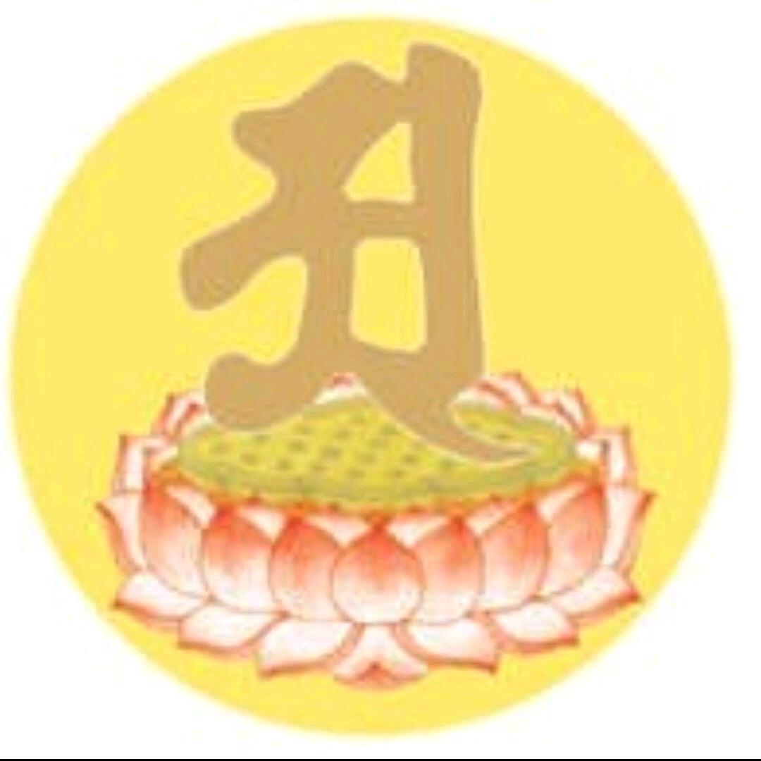 迎兔送福