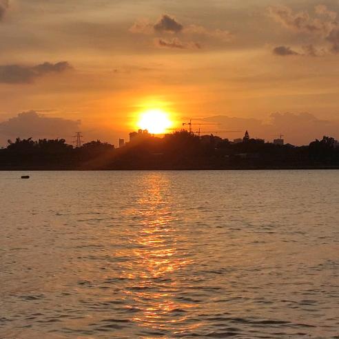 花自飘零水自流