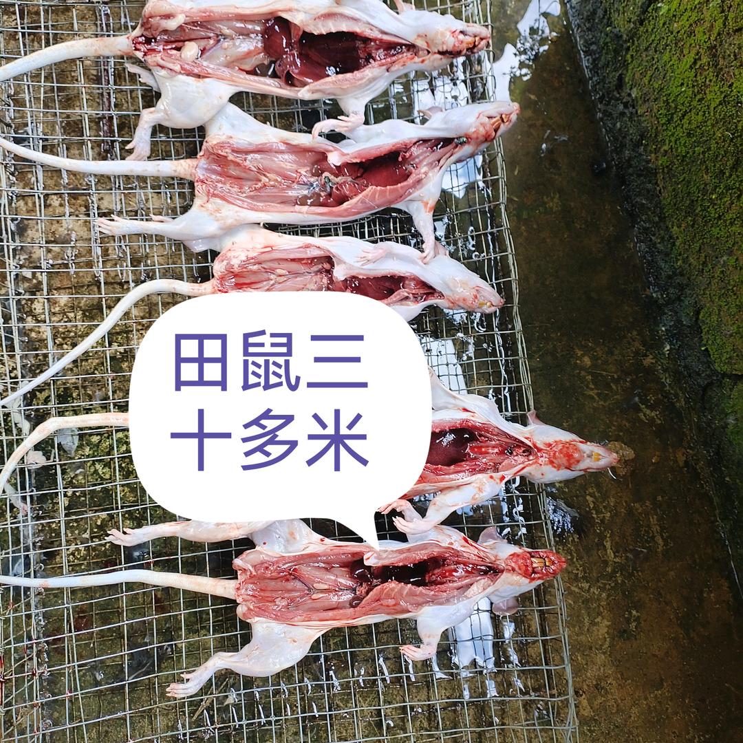 小吴土货