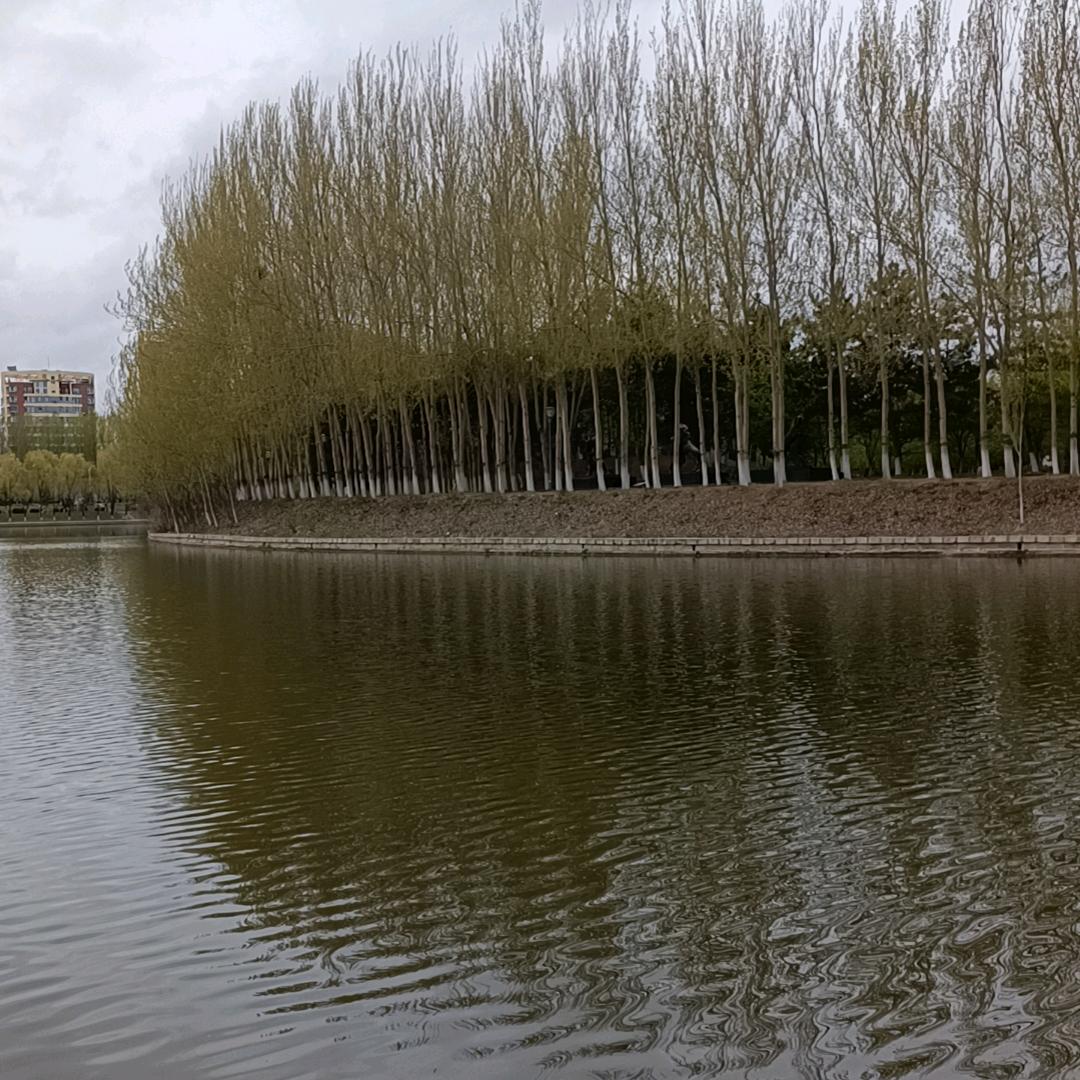 雨妈