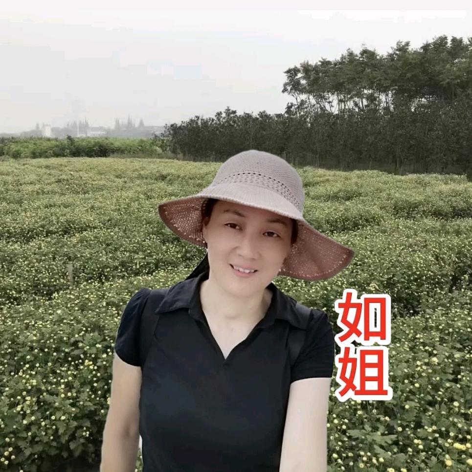 如姐杭白菊精品铺