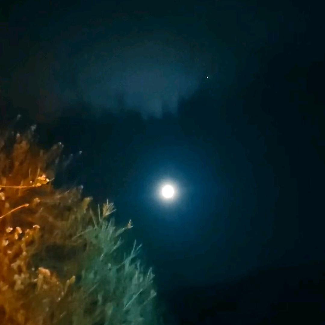 同花顺