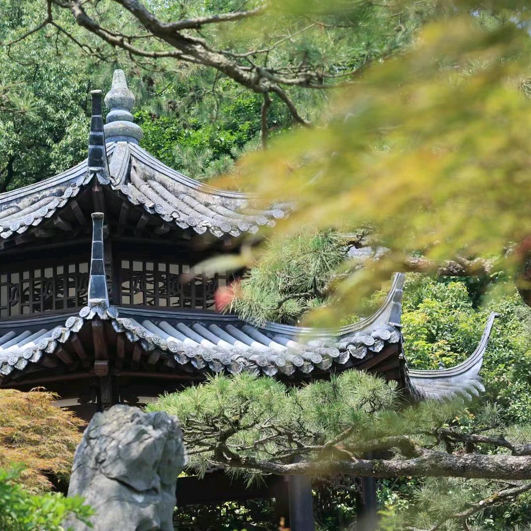 ⁵²º💞᭄᪲ᩚ꯭꧁꫞乂☬氼꫞꧂