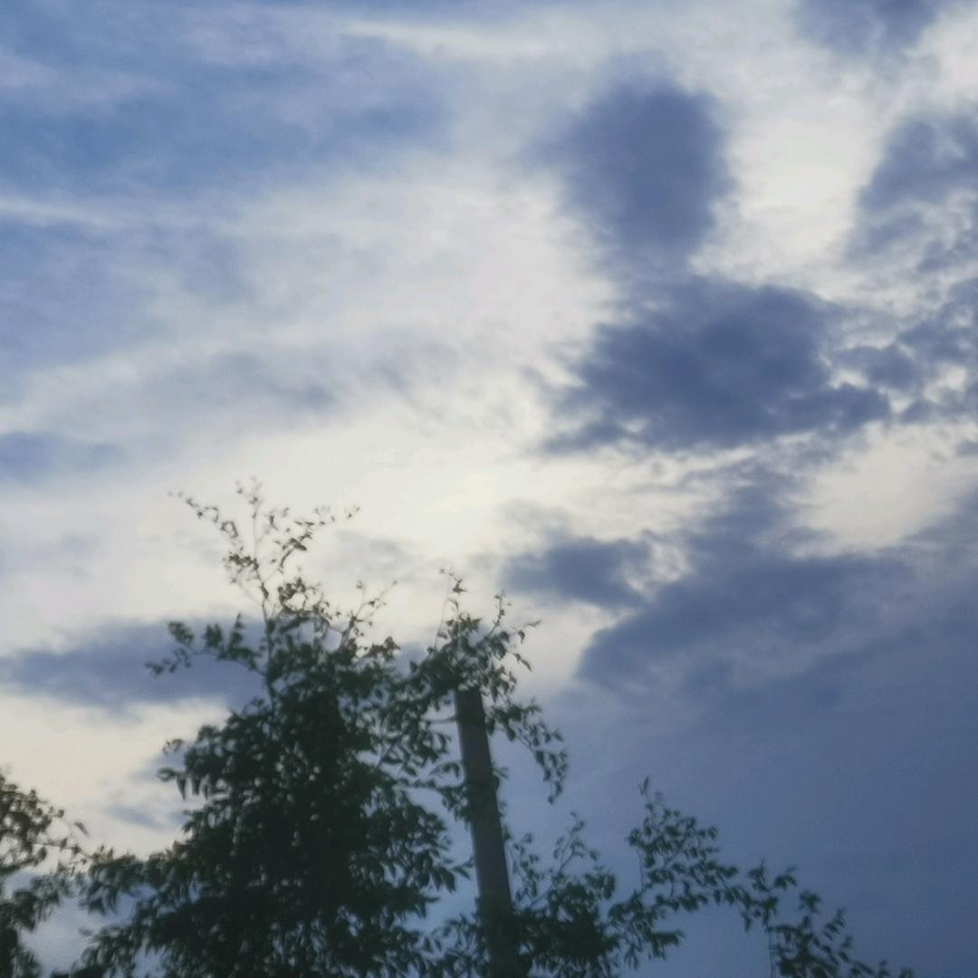 奶油泡泡.机灵姐。