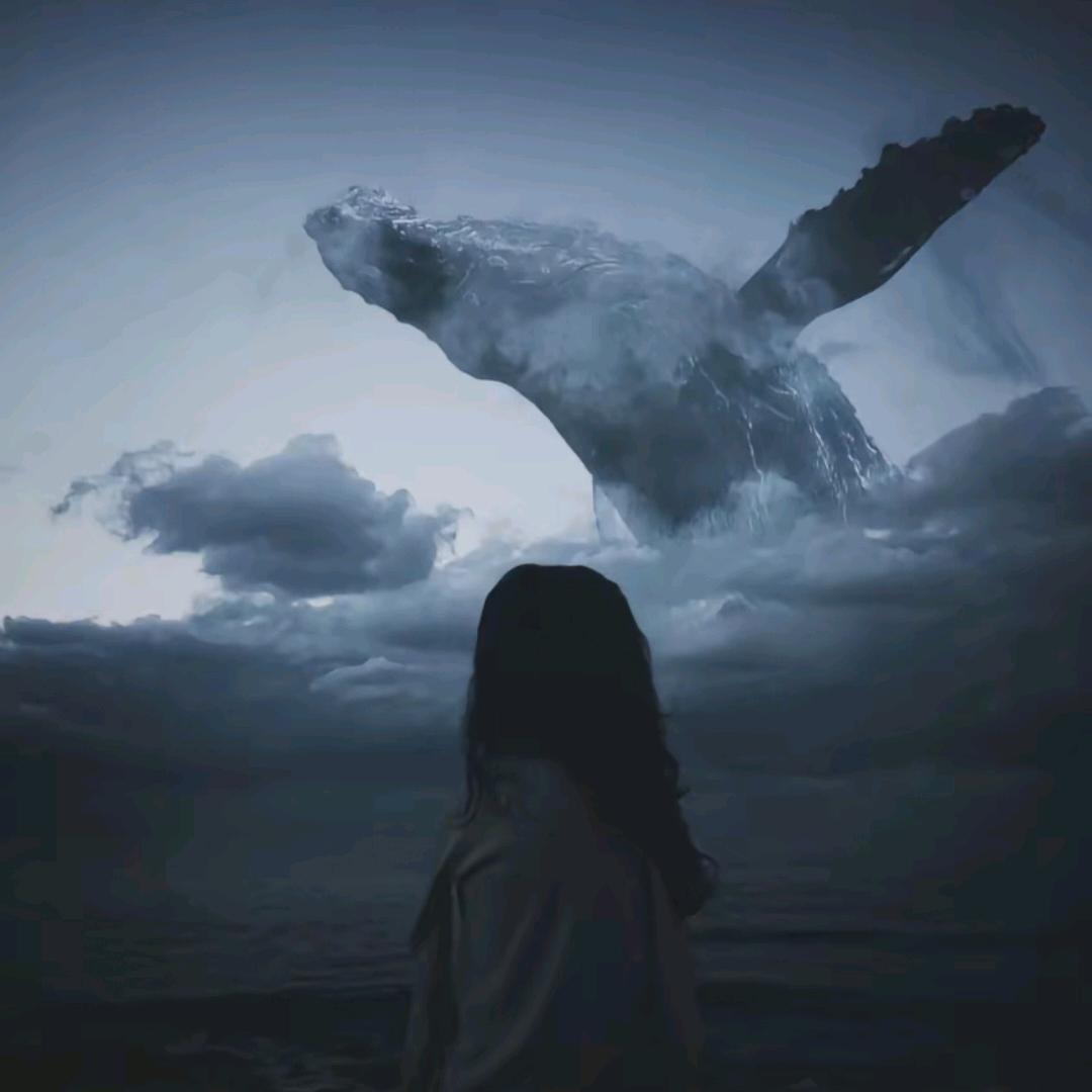 ᝰꫀꪶડ꧖ꦿ🐋