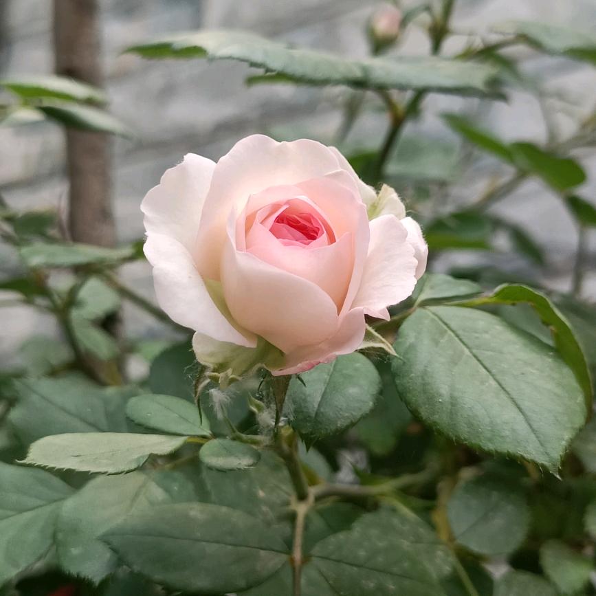 宁静致远，不破不立