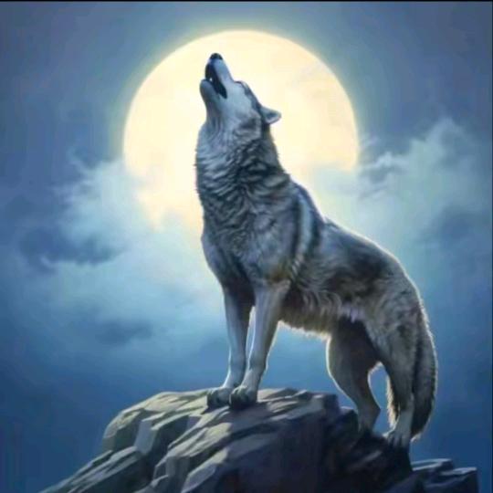 相逢何必曾相识