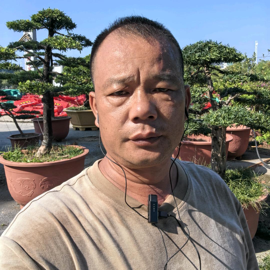 北流市森缘园艺花木场