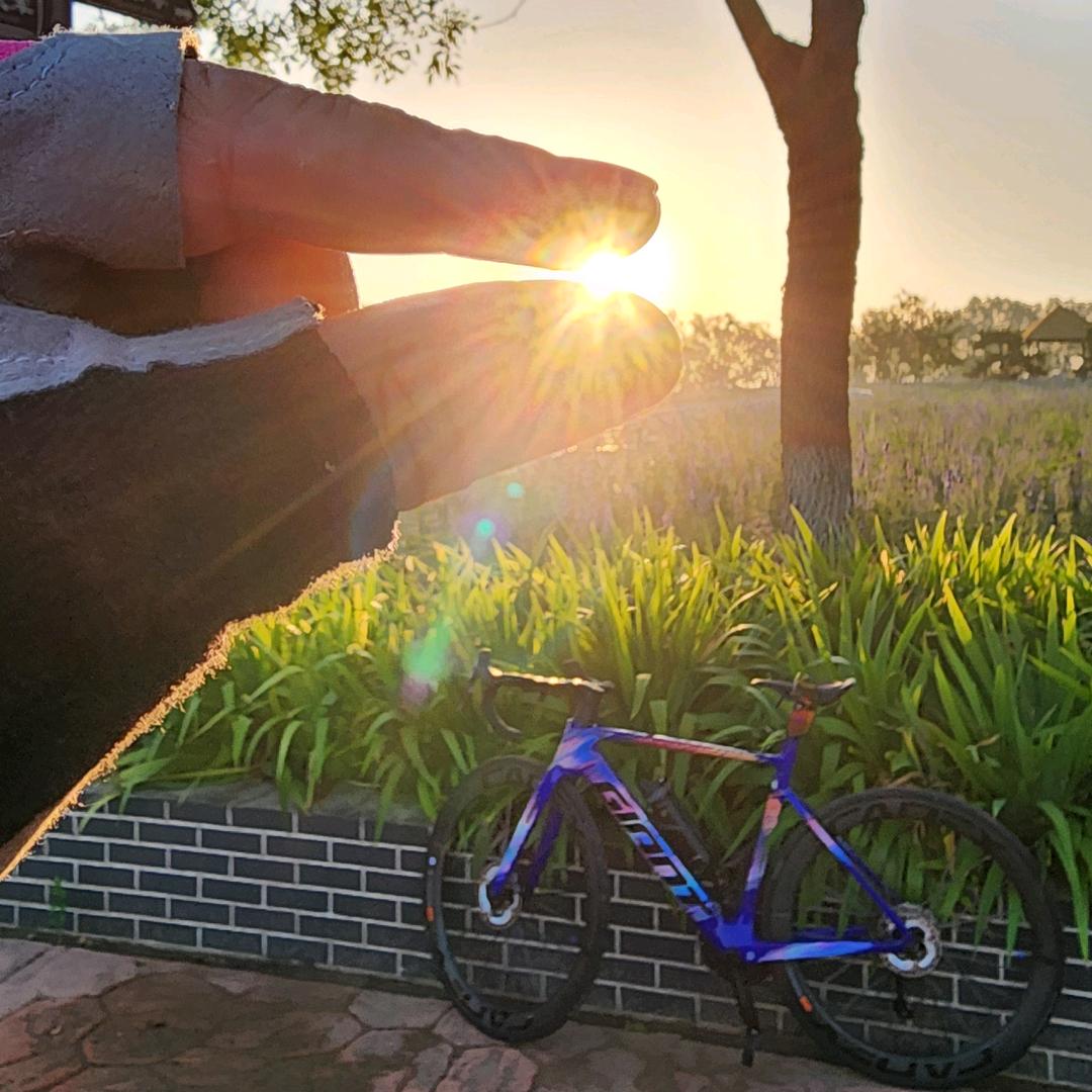 ♥在天涯🚲（2025）