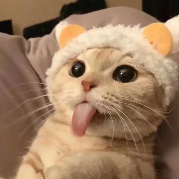 不嘻嘻～