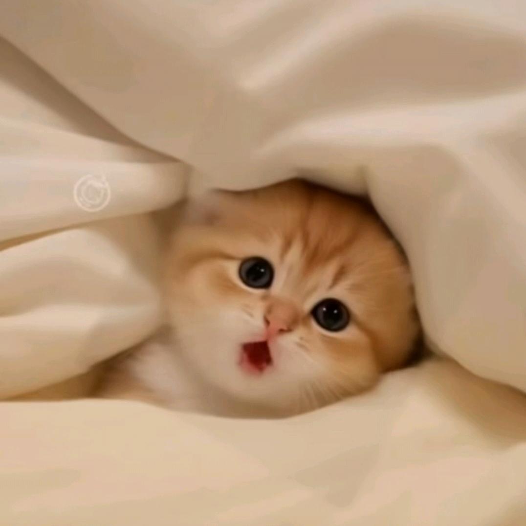 温暖阳光⑥