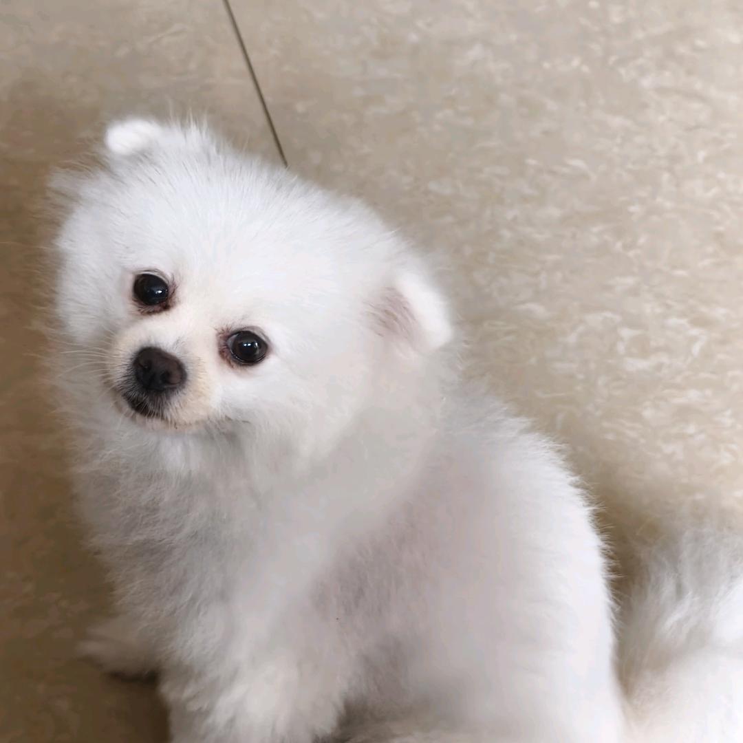 栤