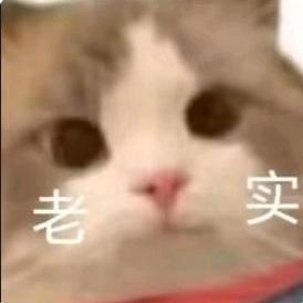 清欢入梦(关窝安排)