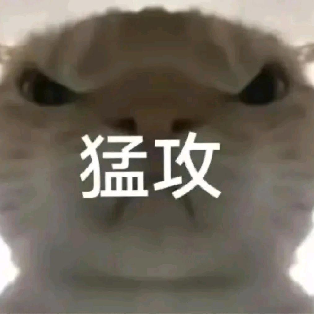 肉夹馍