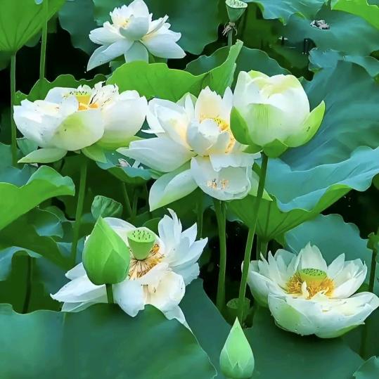 姐.蕗仩尒杺